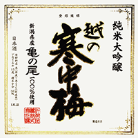 越の寒中梅 亀の尾